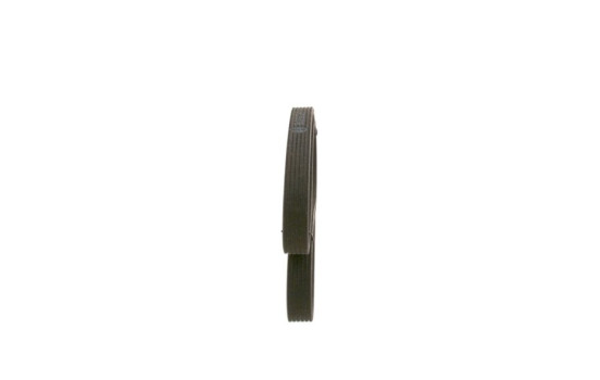 Cinturón múltiple, Imagen 2