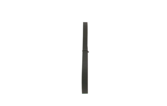 Cinturón múltiple, Imagen 2