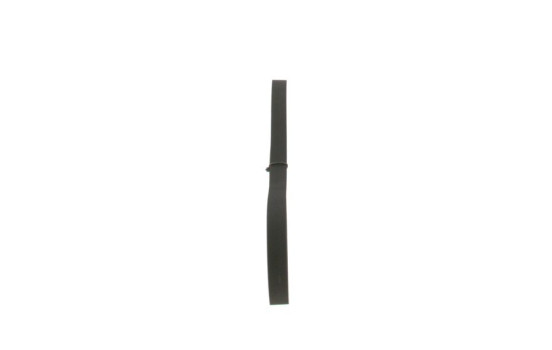 Cinturón múltiple, Imagen 4