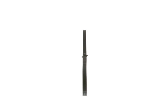Cinturón múltiple, Imagen 2
