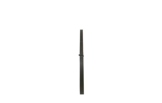 Cinturón múltiple, Imagen 4