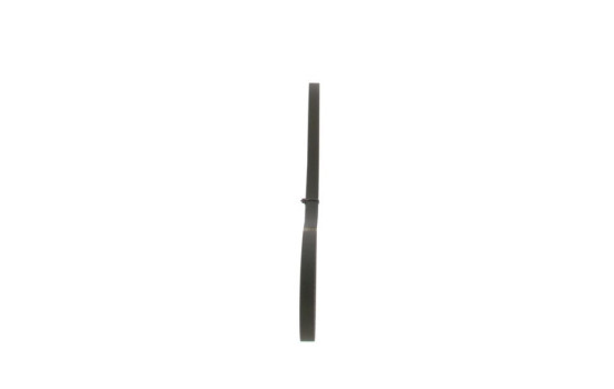 Cinturón múltiple, Imagen 2