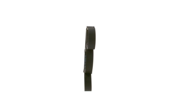 Cinturón múltiple, Imagen 2