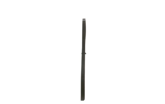 Cinturón múltiple, Imagen 2