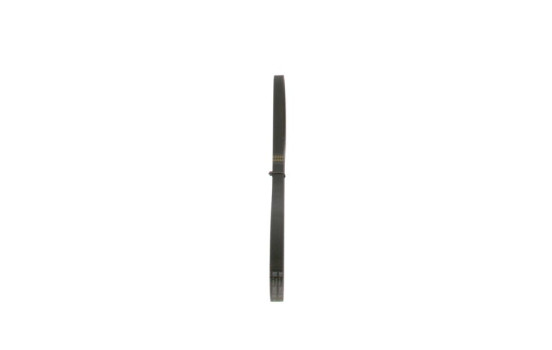 Cinturón múltiple, Imagen 4
