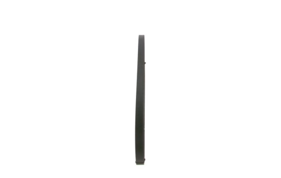 Cinturón múltiple, Imagen 4