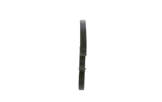 Cinturón múltiple, Imagen 2