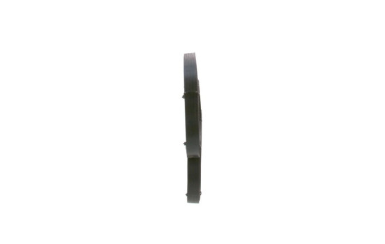 Cinturón múltiple, Imagen 4