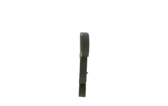 Cinturón múltiple, Imagen 2