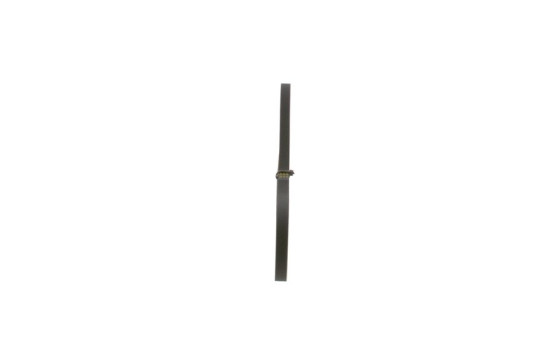 Cinturón múltiple, Imagen 2