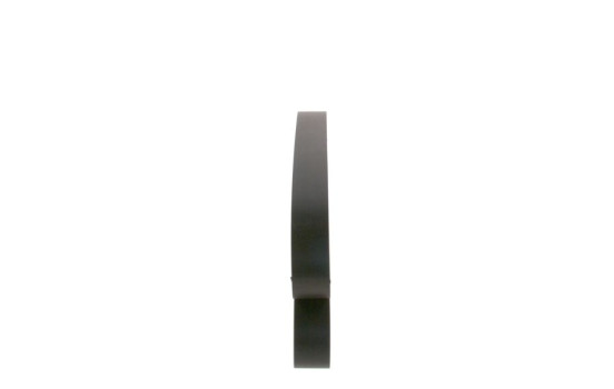 Cinturón múltiple, Imagen 2