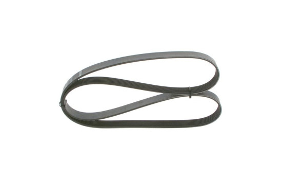 Cinturón múltiple