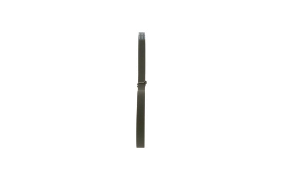 Cinturón múltiple, Imagen 2