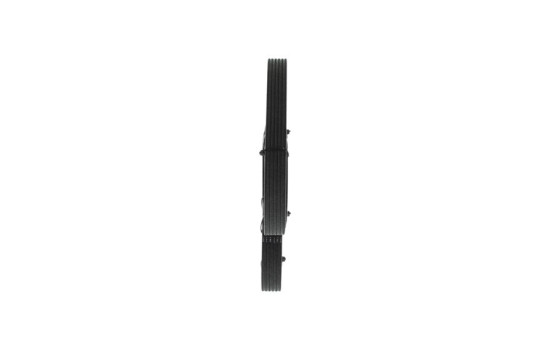 Cinturón múltiple, Imagen 2