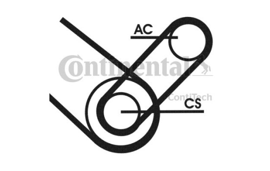 Conjunto de cinturones múltiples 4PK874T1 Contitech, Imagen 3