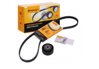 Conjunto de cinturones múltiples 4PK925K1 Contitech