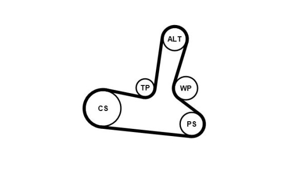 Conjunto de cinturones múltiples 5PK1300K1 Contitech, Imagen 4