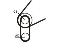Conjunto de cinturones múltiples 5PK716 ELAST T1 Contitech