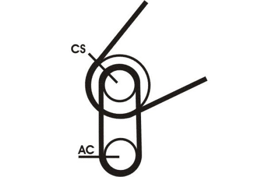 Conjunto de cinturones múltiples 5PK716 ELAST T1 Contitech