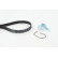 Conjunto de cinturones múltiples 5PK716 ELAST T1 Contitech, Miniatura 3