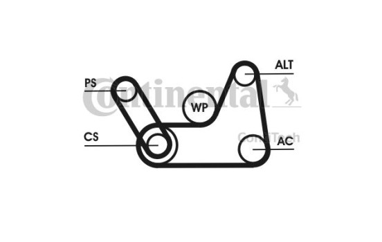 Conjunto de cinturones múltiples 6PK 1019 T1 Contitech, Imagen 2