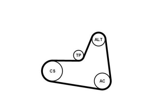 Conjunto de cinturones múltiples 6PK1045K2 Contitech, Imagen 4