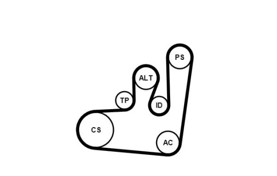 Conjunto de cinturones múltiples 6PK1145K1 Contitech, Imagen 3