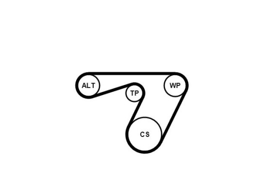 Conjunto de cinturones múltiples 6PK1180K1 Contitech, Imagen 4