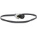 Conjunto de cinturones múltiples 6PK1200K1 Contitech