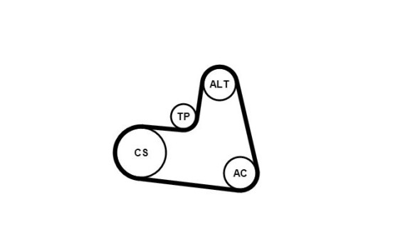 Conjunto de cinturones múltiples 6PK1217K1 Contitech, Imagen 4