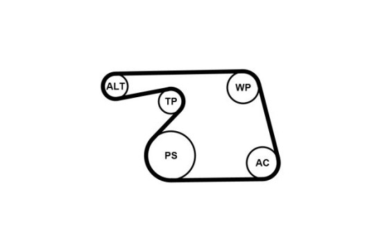 Conjunto de cinturones múltiples 6PK1318K2 Contitech, Imagen 3
