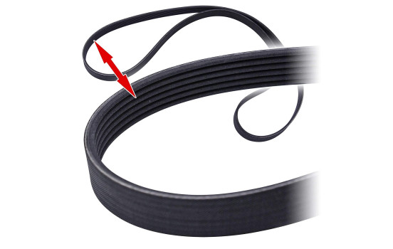 Conjunto de cinturones múltiples 6PK1538K1 Contitech, Imagen 3