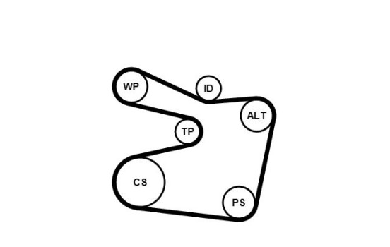 Conjunto de cinturones múltiples 6PK1555K2 Contitech, Imagen 4