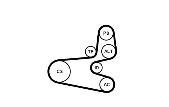 Conjunto de cinturones múltiples 6PK1560K1 Contitech, Imagen 2