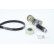 Conjunto de cinturones múltiples 6PK1564K2 Contitech, Miniatura 3