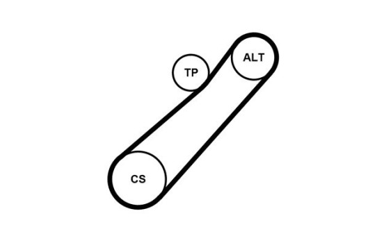 Conjunto de cinturones múltiples 7PK880K1 Contitech, Imagen 2