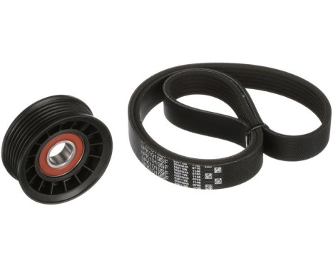 Conjunto de cinturones múltiples K016PK1019SF Gates