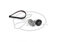 Conjunto de cinturones múltiples K025PK890 Gates