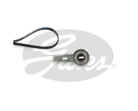 Conjunto de cinturones múltiples K026PK1098 Gates