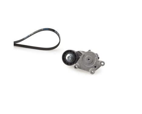 Conjunto de cinturones múltiples K166PK975 Gates