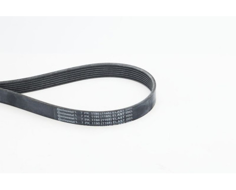 Correa trapezoidal poli 7PK1190 ELAST Contitech