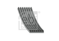 Correa trapezoidal poli V 188439 FEBI