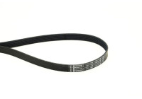 Correa trapezoidal poli V 7PK1195 ELAST Contitech
