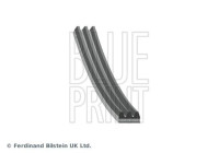 Correa trapezoidal poli V AD03S817 Blue Print