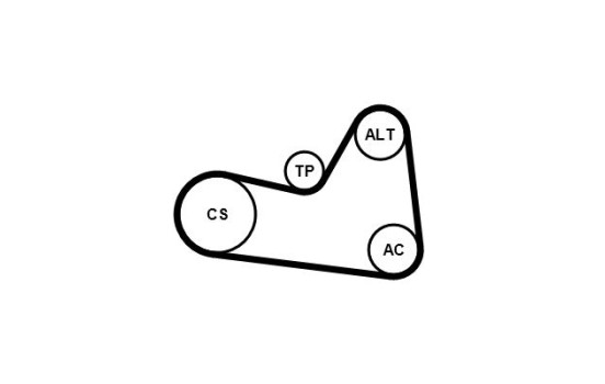 Juego de correas trapezoidales poli V 6PK1033K1 Contitech, Imagen 2