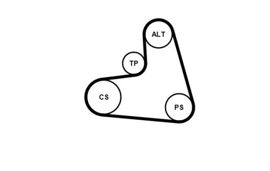 Juego de correas trapezoidales poli V 6PK1120K1 Contitech, Imagen 3