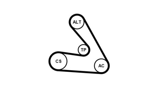 Juego de correas trapezoidales poli V 6PK1270K1 Contitech, Imagen 3