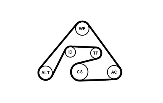Juego de correas trapezoidales poli V 6PK2030K2 Contitech, Imagen 3