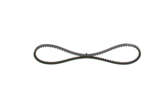 Correa trapezoidal