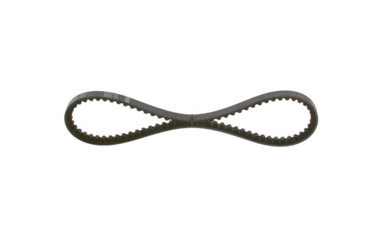 Correa trapezoidal